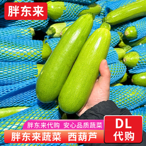 胖东来蔬菜 西葫芦茭瓜小瓜菜瓜新鲜 胖东来安心蔬菜正品代购