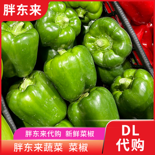胖东来蔬菜 新鲜菜椒甜椒辣椒 青椒灯笼椒当季 安心蔬菜代购