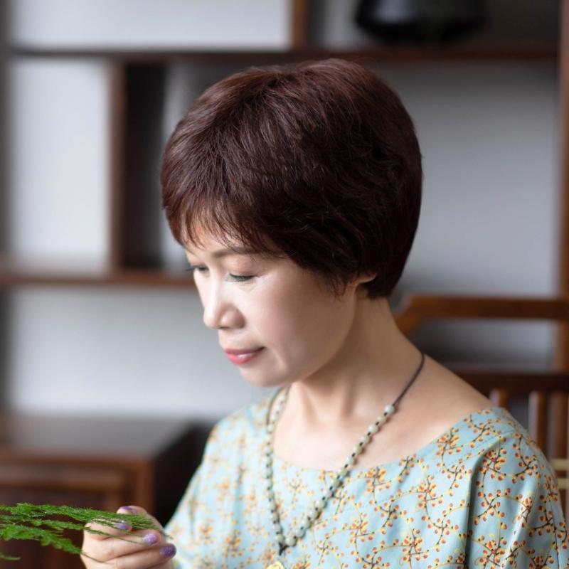 新品老年人假女短发奶奶松透气卷发妈妈短发中老发年女蓬士逼头真