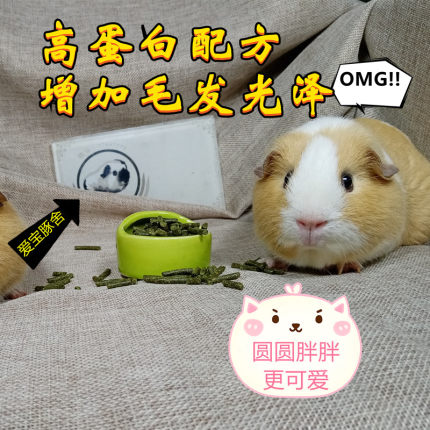 荷兰猪主粮兔子豚鼠天竺鼠饲料粮食进口六斤包邮提摩西草粉500克