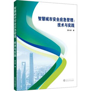 智慧城市安全应急管理 技术与实践