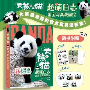 大熊猫超萌日志 国宝写真漫画绘