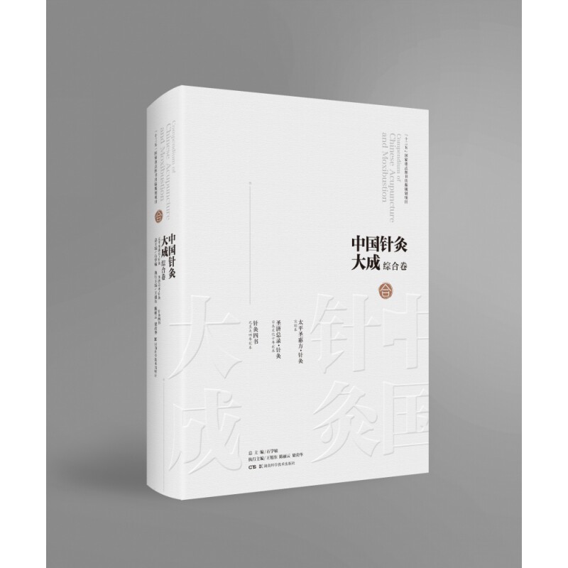 中国针灸大成·综合卷（太平圣惠方·针灸 圣济总录·针灸