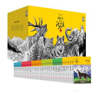 浙江少年儿童出版 动物小说大王沈石溪·品藏书系 36册 礼盒装 社 经典