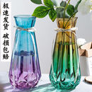 加高加厚大号花瓶玻璃透明客厅摆件水培植物富贵竹百合插干花花瓶