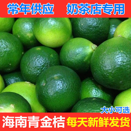 海南金桔小金桔青柠檬新鲜小青桔金橘免邮多规格可选奶茶店供应
