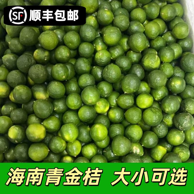 顺丰包邮 新鲜海南青金桔小金桔柠檬奶茶店专用小青柠整件免邮