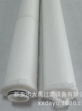 PF005-40650N大通量滤芯折叠滤芯保安过滤器滤芯水滤芯