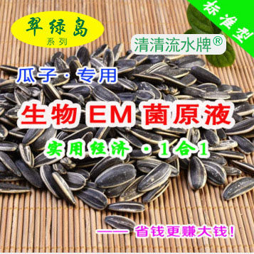 翠绿岛瓜子种植专用生物EM菌进口原液能提高产量和品质有益菌活菌