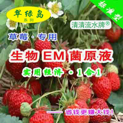 活菌草莓种植生物EM菌原液有益菌