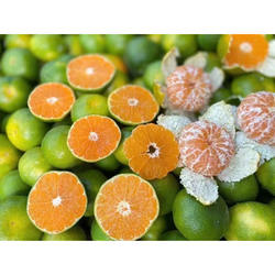 9月上架 寻乌蜜桔蜜橘 核心产地果园 现摘现发 九甜一酸 基本无籽