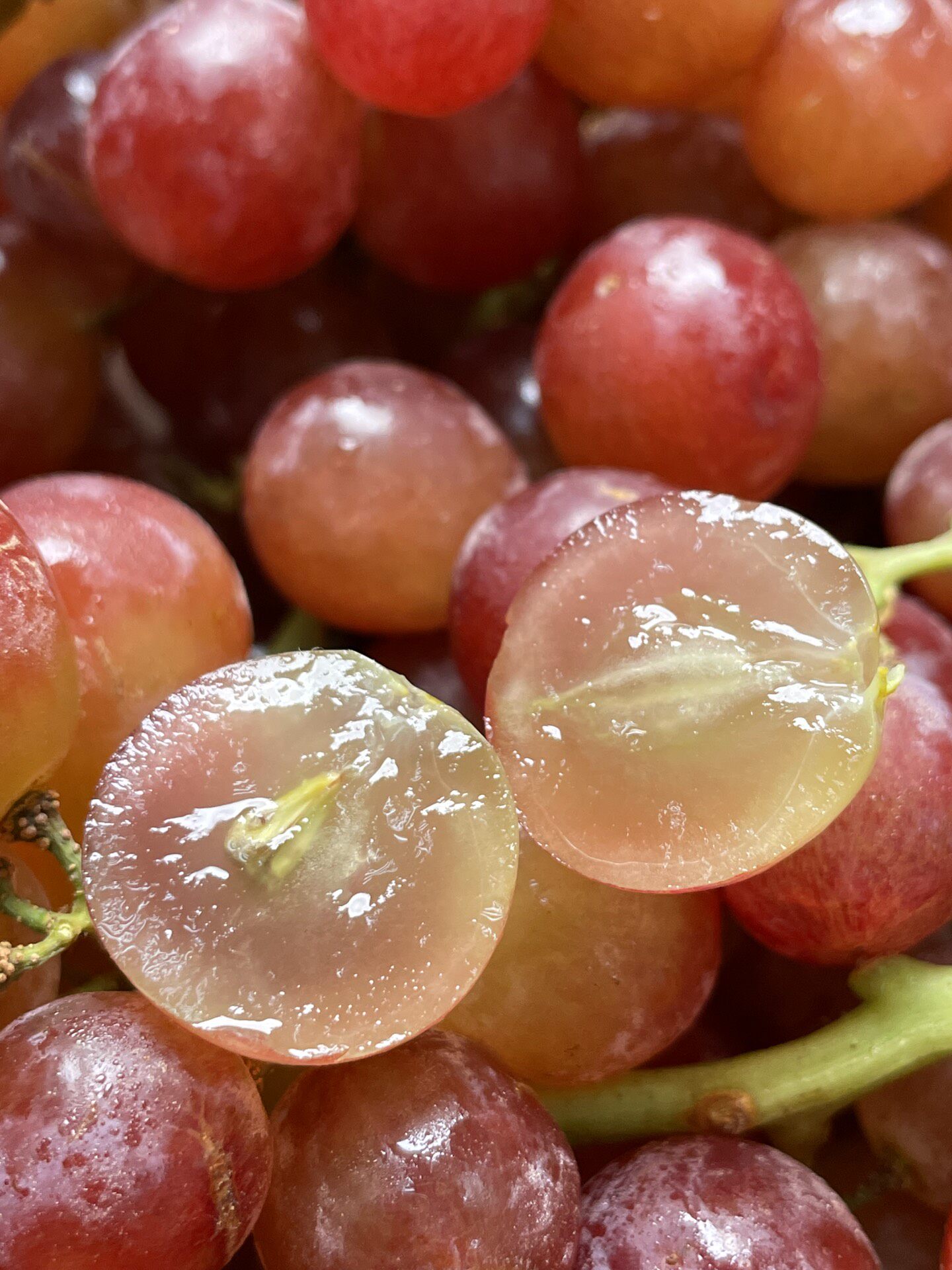 现货顺丰空运!智利慕斯卡香水葡萄