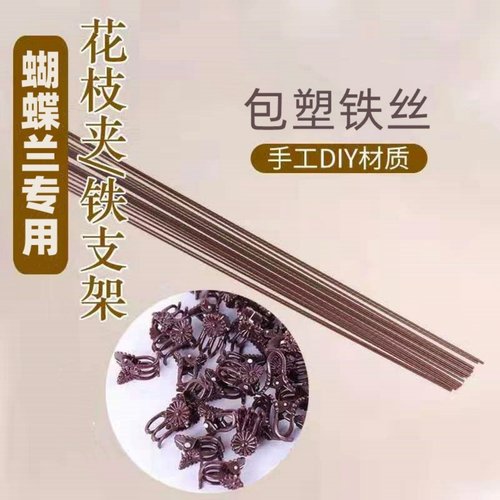 蝴蝶兰支架兰花造型支撑杆