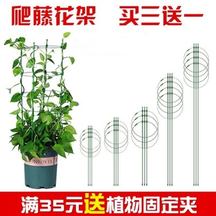 爬藤架花架园艺支柱阳台绿萝月季 铁线莲藤本植物攀爬蟹爪兰支撑杆