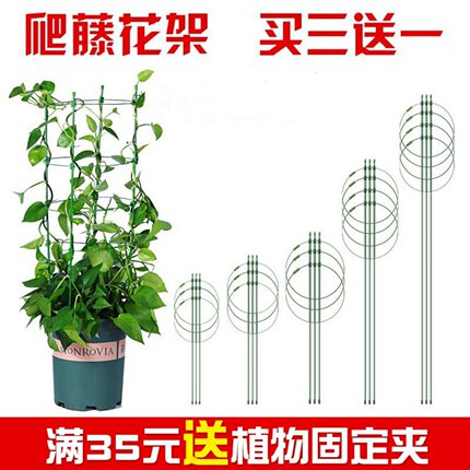 爬藤架花支架植物防倒伏支撑杆阳台绿萝月季铁线莲藤本植物攀爬架