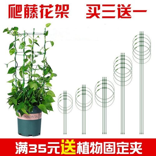 爬藤架花支架买三送一