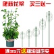 爬藤架花架园艺支柱阳台绿萝月季 铁线莲藤本植物攀爬蟹爪兰支撑杆