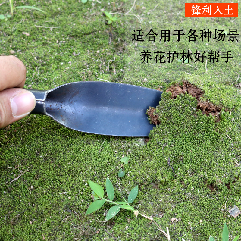 柳叶铲子高碳钢多肉松土工具园艺铲挖野菜小铲小铁铲挖药材小铁锹