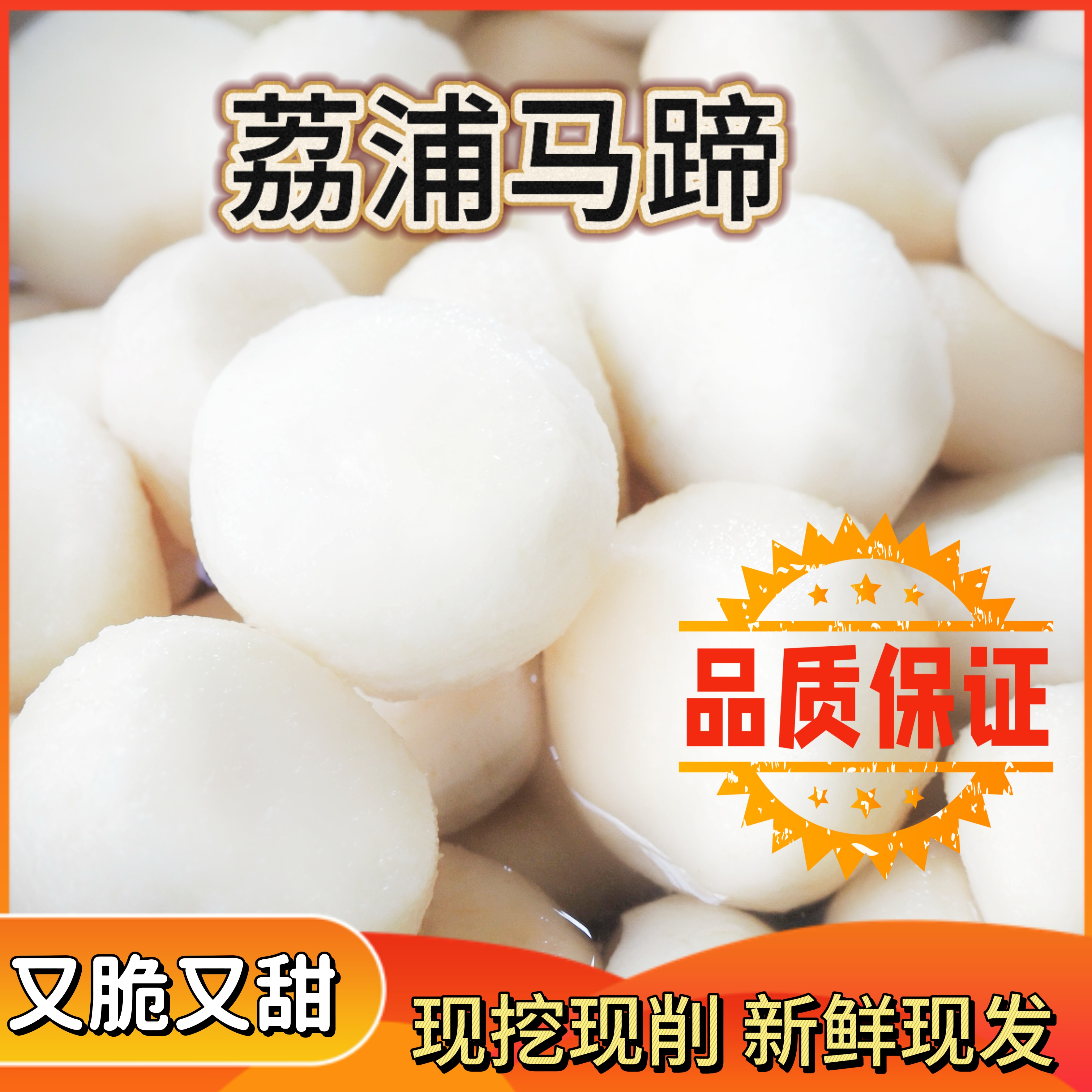 广西荔浦马蹄削皮马蹄又脆又甜荸荠水果马蹄白马蹄新鲜桂林土特产