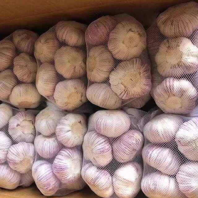 24年正宗紫皮3斤干蒜新晒老品种农家自种紫白皮当季蔬菜1非独头蒜