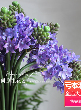 之间原生仿真花伯利恒之星绢花