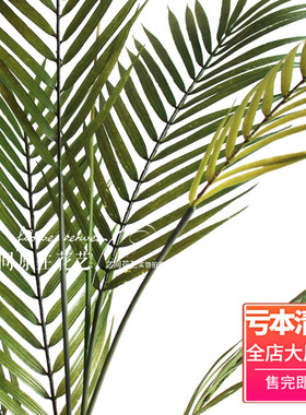 仿真造景植物摄影道具散尾葵叶