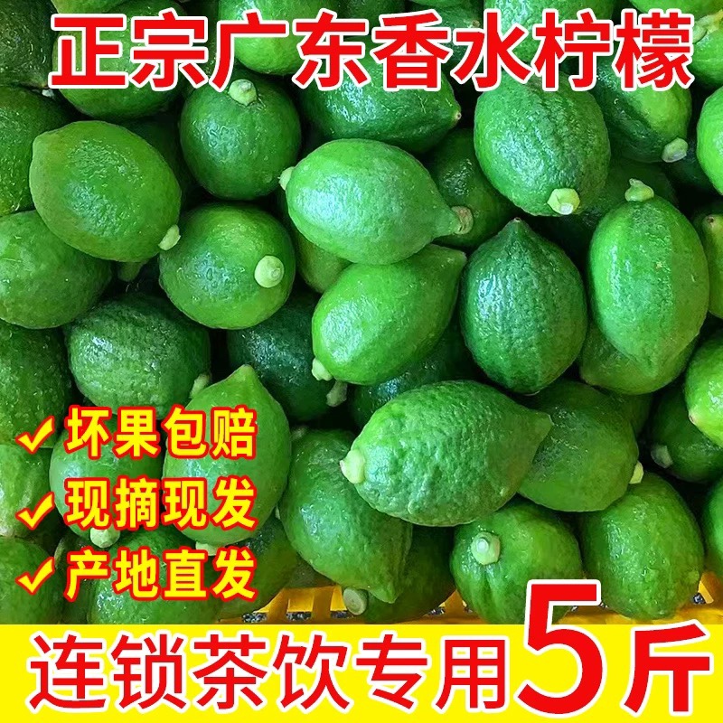 广东香水柠檬一级果正宗新鲜无籽香水柠檬精选当季水果奶茶店专用