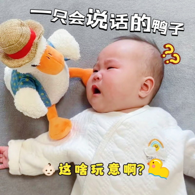 婴儿学说话复读鸭毛绒哄娃神器