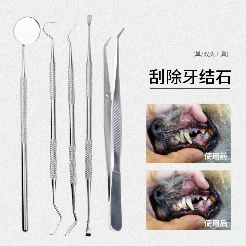 牙结石刮刀狗狗宠物泰迪双头刮牙洗清洁去除牙垢口腔工具5件套装