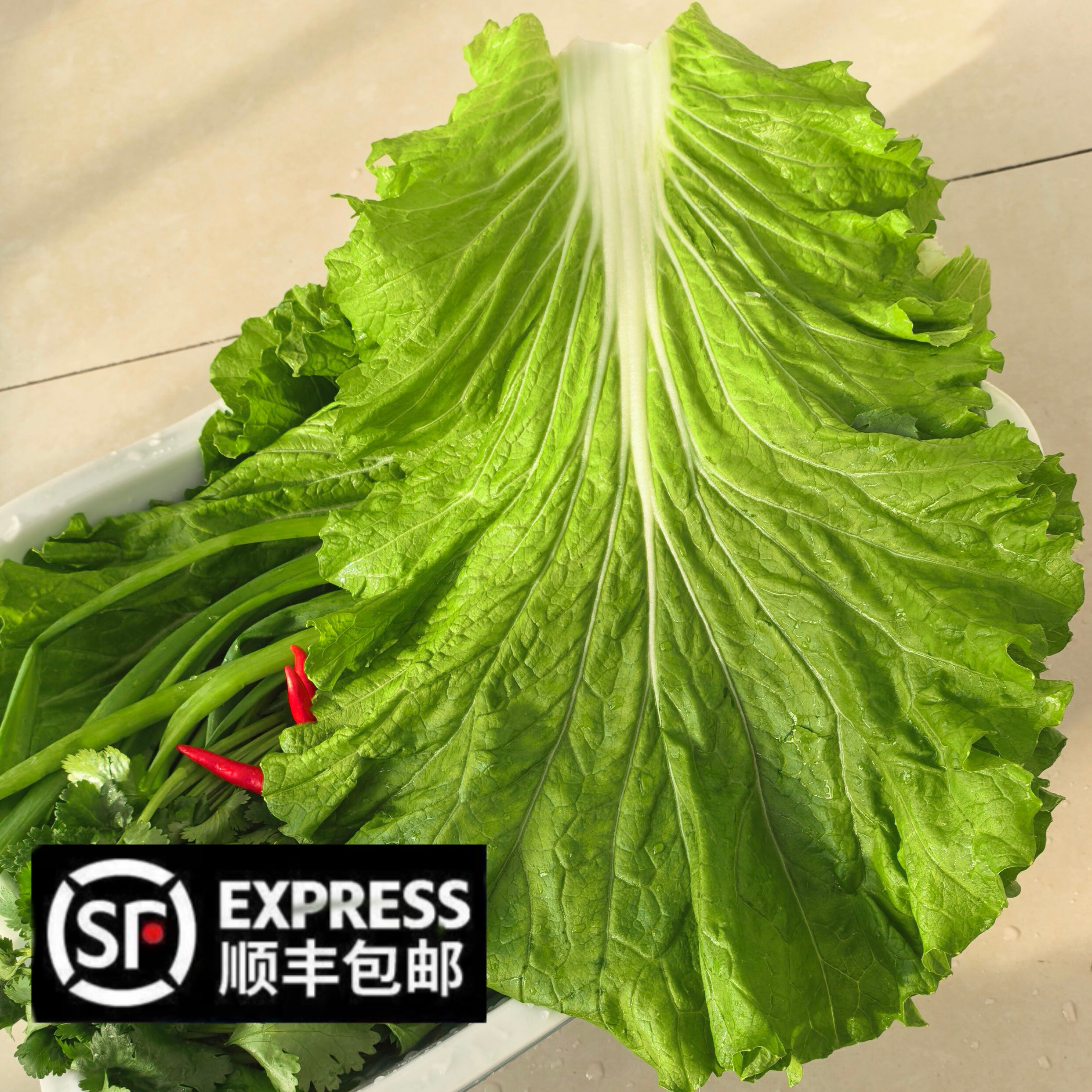 新鲜饭包叶内蒙古赤峰特产农家自种蔬菜火锅菜东北大饭包