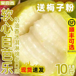 果真香福建漳州奶油芭乐水果新鲜包邮软白心台湾番石榴鸡屎果脆甜