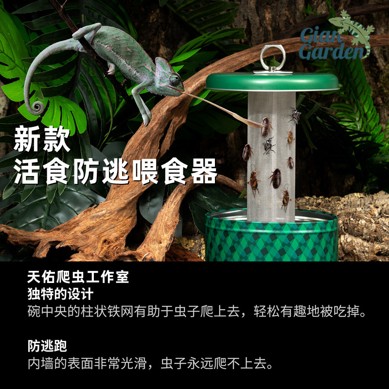 出口欧洲GD爬宠防逃喂食盆爬蜥蜴守宫杜比亚蟑螂面包大麦虫喂食器