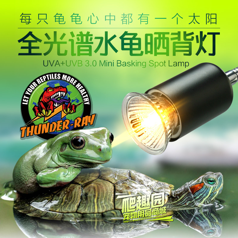 乌龟晒背乌龟加热灯龟补钙全光谱