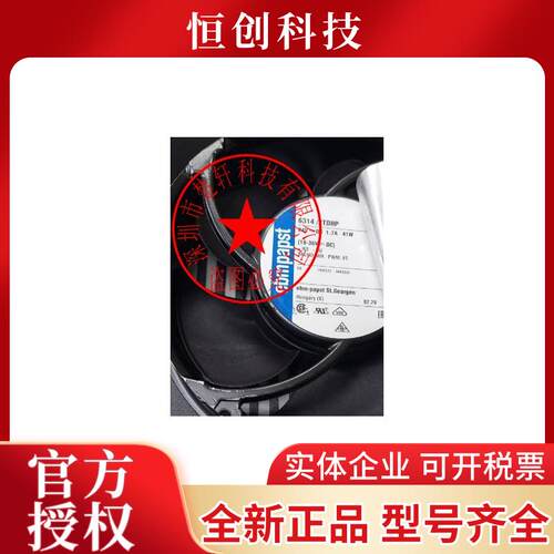 6314/2TDHP DC24V 41W 64W 6314/2TDH4P原装德国进口变频进口通风