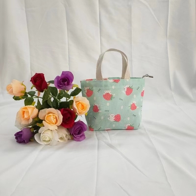 迷你小帆布包简约手提包