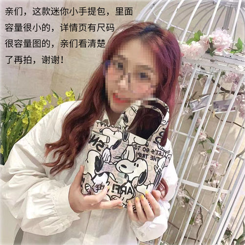 迷你帆布包卡通印花韩版小手提袋