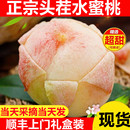 新鲜水果整箱10斤现摘时令蜜桃可撕皮毛桃密桃 现货正宗水蜜桃当季