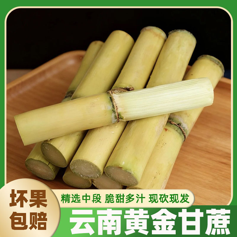 云南特产新鲜黄金甘蔗水果甘蔗应季当季水果热带水果黄皮甜蔗包邮