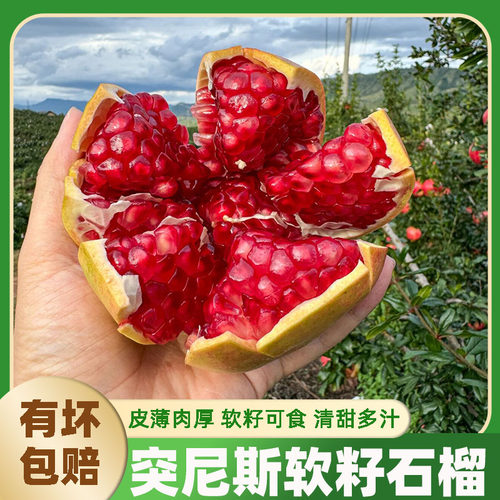 会理突尼斯软籽石榴黑红心超甜