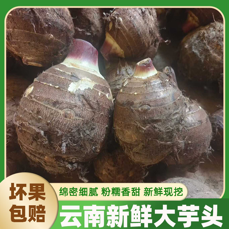 云南特大芋头农家自种大香芋