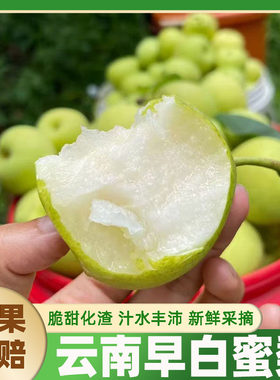 云南当季新鲜清甜皮薄多汁小香梨