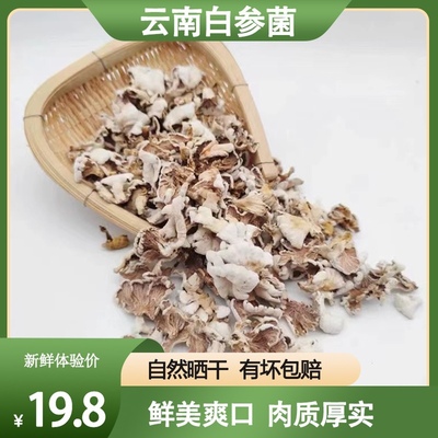 云南白参菌干货 农家特产克裂褶菌白花白参沙参树花干净好洗裂褶