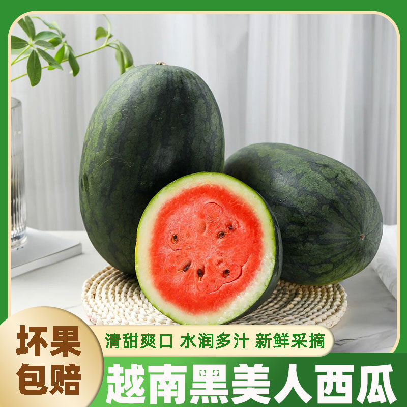 越南黑美人西瓜正宗应季当季新鲜水果进口水果西瓜包熟包甜整个,水产肉类/新鲜蔬果/熟食,西瓜,淘宝优惠券,粉丝福利购,淘宝优惠卷