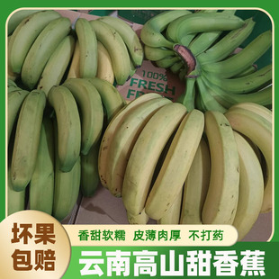 云南红河高山香蕉皮薄孕妇水果自然熟当季新鲜水果绿皮香蕉批发价