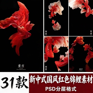 新中式国风红色锦鲤鱼 婚纱 孕妇照 写真合成PSD模板素材
