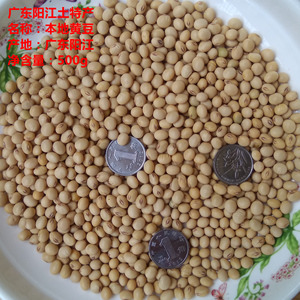 广东阳江本地黄豆农户自产豆子传统黄豆本地本土小黄豆仔2斤