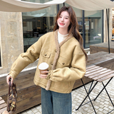 新款皮毛一体短款羊羔毛099-D213-P185-K278，女装皮草，浙宝099