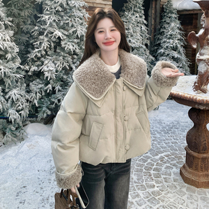 新款 羊羔毛拼接50羽绒服099-10366-p265-k398图片