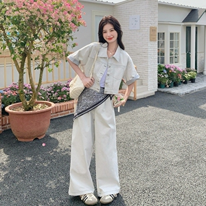 又a又飒工装牛仔套装女2025夏季新款港风高级感外套阔腿裤两件套图片