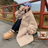 新款长款羊羔毛外套099-D200-P205-K308，女装皮草，浙宝099